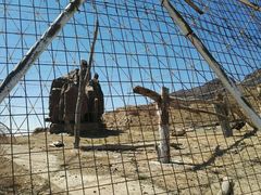 -新疆天山野生动物园