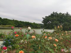 -东莞植物园
