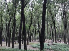 -森林公园(尖草坪区)