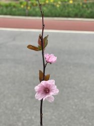 -匠心荟MG染烫店