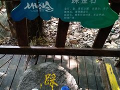 -七仙岭温泉国家森林公园