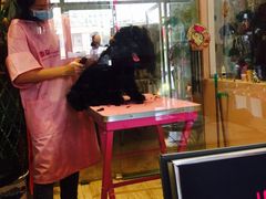 -樱桃家的宠物店(君安花园店)