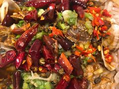 -降龙爪爪(建设路1店)