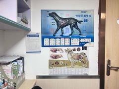 -宠颐生宠物医院外科·内科·皮肤科·影像科(石龙店)