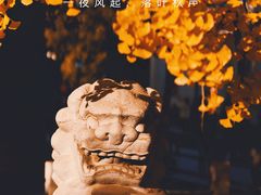 -北京石刻艺术博物馆