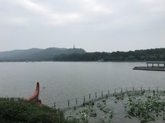 -湖畔居茶楼(湖滨店)