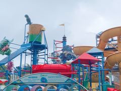 -苏州乐园森林水世界