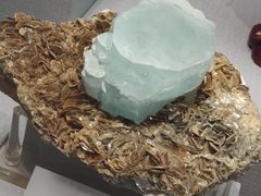 -湖南省地质博物馆