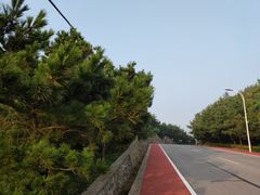 -南长涂沙滩