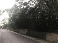 -天目湖涵田半山温泉