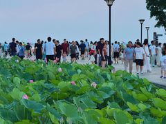 -滆湖低碳生态公园