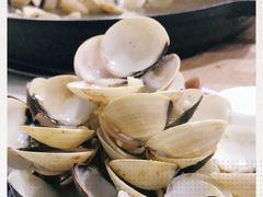 -顺德哥卜卜贝(旗舰店)