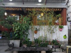 -马帮菜馆·美味野生菌