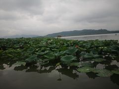 -西湖游船
