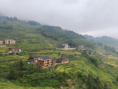 -紫鹊界梯田景区