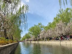 -元大都城垣遗址公园