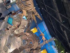 -国家自然博物馆