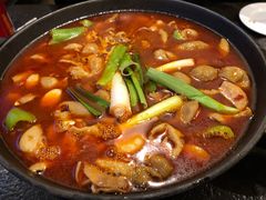 肠子火锅-湘肠香火锅店(团结湖店)