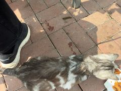 -水库活鱼馆(于桥水库店)