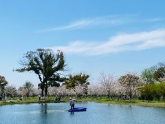 -良渚古城遗址公园