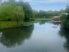 -尚贤河湿地