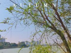 -时间仓(月湖公园店)