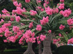 -杭州城北体育公园