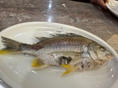 -吴记富苑(朝阳店)