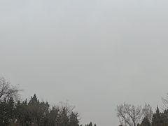 -保定市动物园
