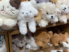 -九木杂物社(新奥购物中心店)