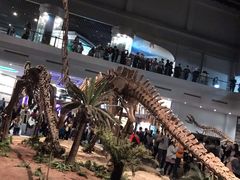 -自贡恐龙博物馆