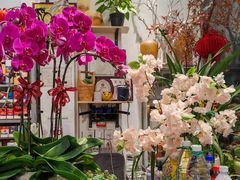 -FEI FEI FLOWER鲜花店·气球派对·宝宝宴布置(虹口德必运动Loft店)