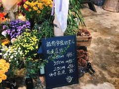 -植物学家的女儿(北马道巷店)