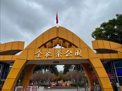 -金花茶公园