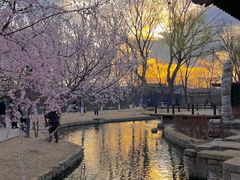 -春风习习