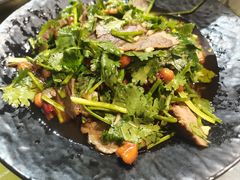 香菜拌牛肉-楚太子  中餐&烧烤(武大店)