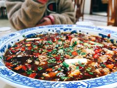 -西木兔(大圆祥店)