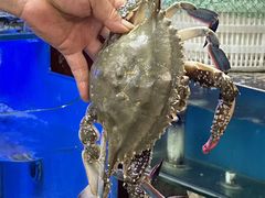 -小铜锣湾海鲜家常菜馆(河西店)