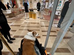 -LV路易威登(国际广场店)