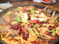 -老板恋上鱼(印象城店)