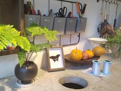 -自由生长植物工作室(深港花卉中心店)