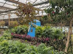 -南宫五洲植物乐园