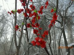android_upload_pic-水磨沟公园