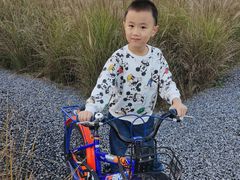 -汉长安城未央宫国家考古遗址公园