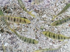 -鸿通城购物中心