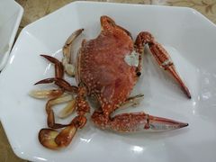 -双月饭店·20年老字号(新村店)