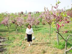 -绵阳盛世樱花悠乐谷