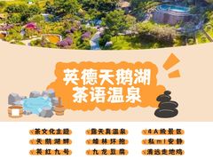 -英德宝晶宫天鹅湖茶语温泉