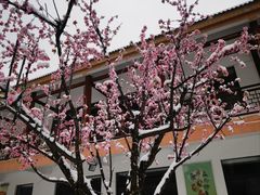 -青峰峡国家森林公园