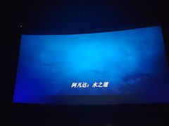 -上影国际影城(普陀绿地缤纷城店)